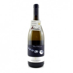 Pinot Bianco  2021 - 12,5%...
