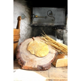 Kamut bread Stacha farm