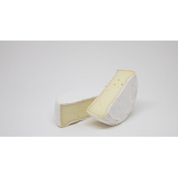 Tobi Bundesanstalt Rotholz Austria ca. 200g Degust Affinatore di formaggio