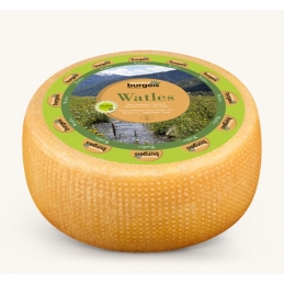 Watles formaggio da taglio...
