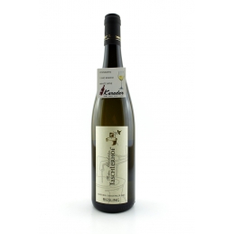 Valle Isarco Riesling 2021...
