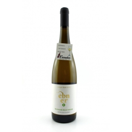 Pinot Blanc 2020 Ebner Winery