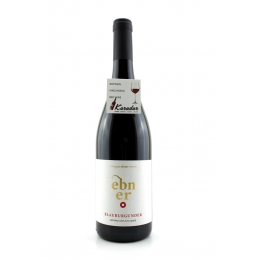 Pinot Nero 2019 - 13,5%...