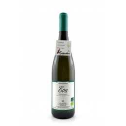 Eva Manzoni Bianco 2019 Brunnenhof Winery BIO
