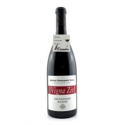 Pinot Noir Riserva Vigna ZIS 2016 Brunnenhof Winery BIO