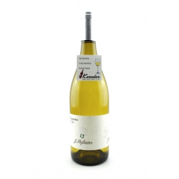 Pinot Bianco 2022 - 13,5%...