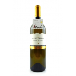 Pinot Blanc 2020 - 14% vol....