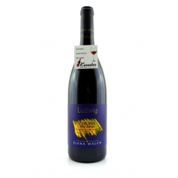 Pinot Noir Ludwig 2020 - 14% vol. Elena Walch Winery