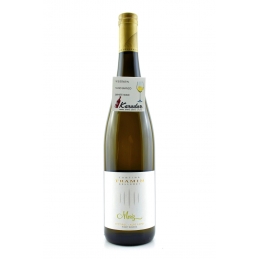 Pinot Blanc Moriz 2021 - 13,5% vol. Winery Termeno