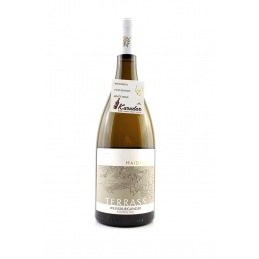 Pinot Blanc Terass 2021 -...