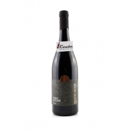 Pinot Noir 2020 - 15% vol. Mauslocher Winery