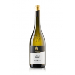 Pinot Blanc Vial 2021 -...