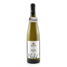 Riesling H. Lun 2020...