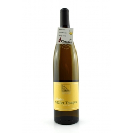 Müller Thurgau Tradition...