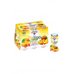 Fitline Probiotic Drink Multifrucht (24 x 90 ml) Milchhof Sterzing