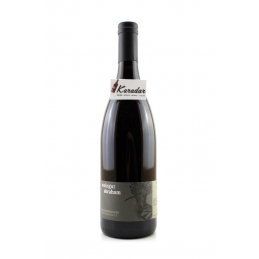 Pinot Noir Vom Muschelkalk 2020 - 13% vol. Abraham Winery