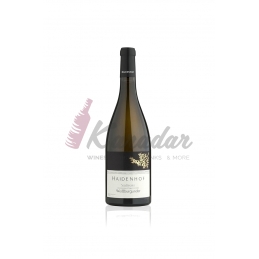 Weissburgunder 2024 - 14%...