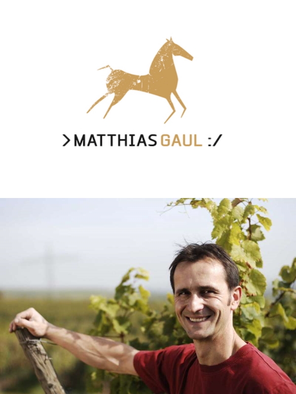 Matthias Gaul